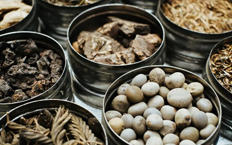 Mission Ayurveda